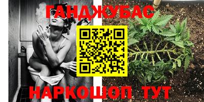 гидра Будённовск