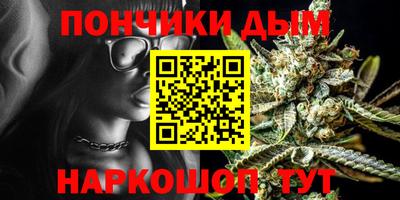 гидра Будённовск