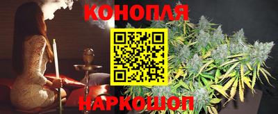 гидра Будённовск