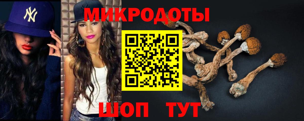 Галлюциногенные грибы Psilocybe  Вход с VPN  Псилоцибиновые грибы Psilocybine cubensis  Северобайкальск 